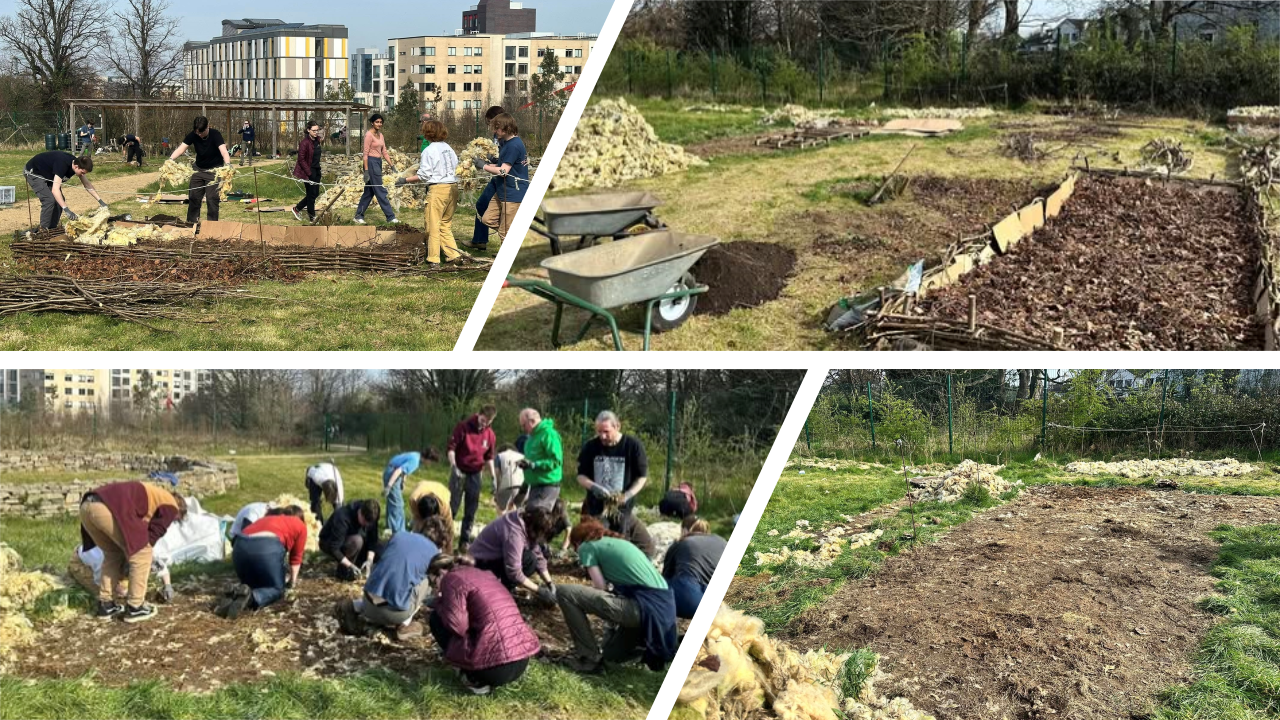 selection of pictures showing activities in ceamc